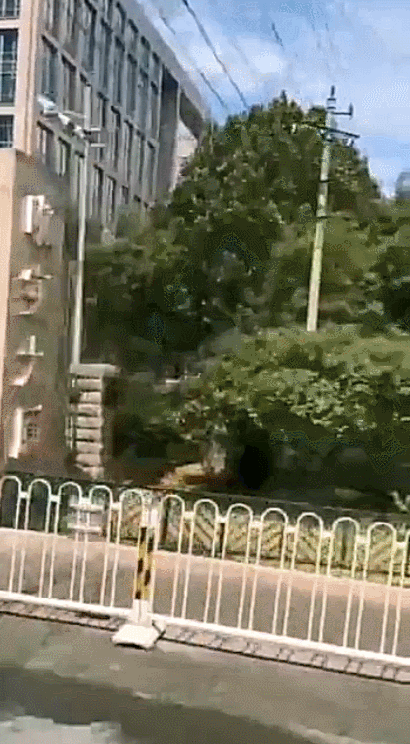 愉悦1.gif